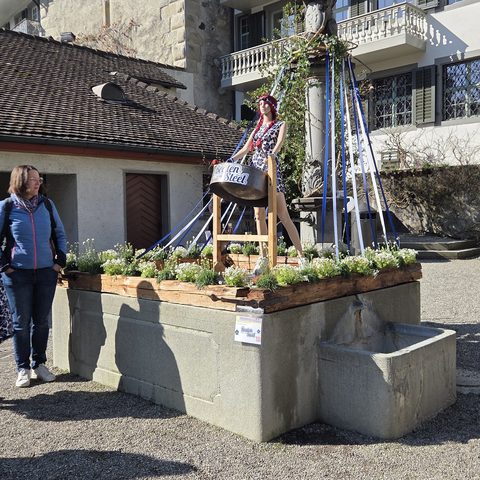 Bild 1 aus Galerie